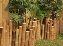 Kwikfynd Landscape Designer
bimbourie