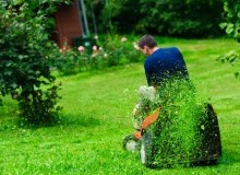 Kwikfynd Lawn Mowing
bimbourie